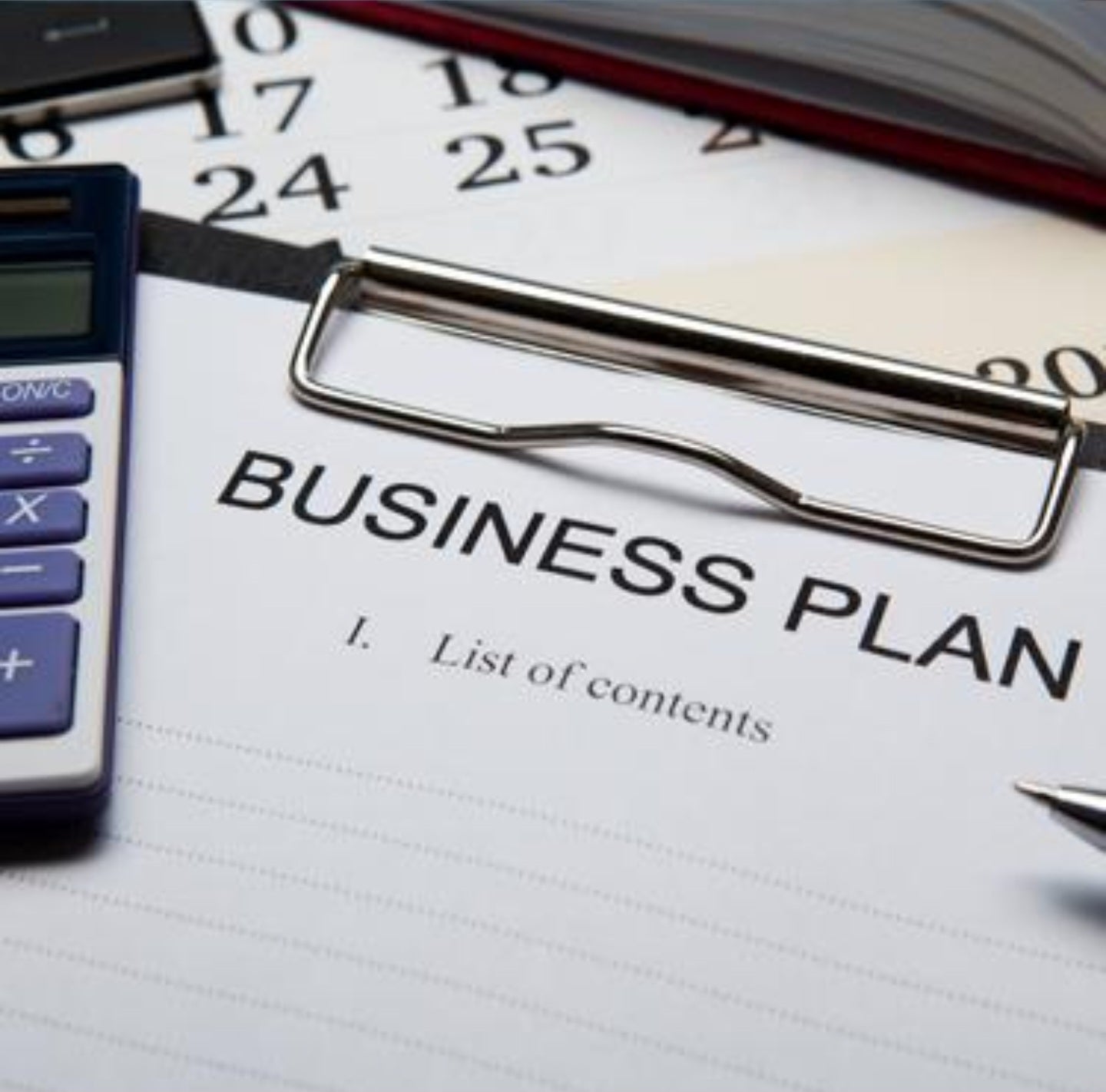 Business Plan Review –Starting $499